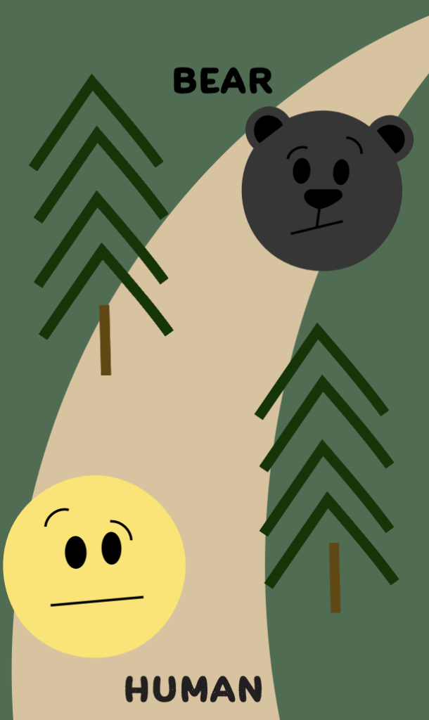 Humans and bears in the wild